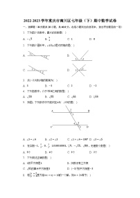 2022-2023学年重庆市南川区七年级（下）期中数学试卷（含解析）