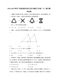 2022-2023学年广东省深圳市深大附中集团八年级（下）期中数学试卷（含解析）