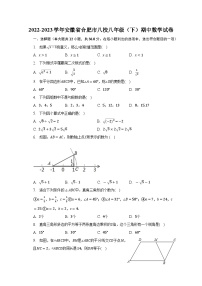 2022-2023学年安徽省合肥市八校八年级（下）期中数学试卷（含解析）