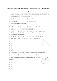 2022-2023学年安徽省合肥市科大附中八年级（下）期中数学试卷（含解析）