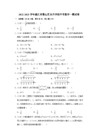 2023年广东省湛江市霞山区东升学校中考数学一模试卷（含答案）