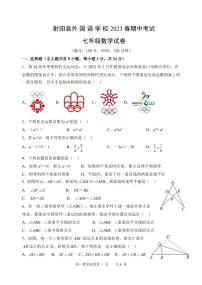 江苏省盐城市射阳县外国语学校2022-2023学年七年级下学期5月抽考数学试卷