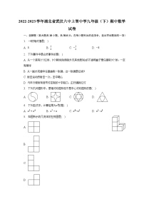 2022-2023学年湖北省武汉六中上智中学九年级（下）期中数学试卷（含解析）