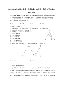 2022-2023学年湖北省咸宁市嘉鱼县、赤壁市七年级（下）期中数学试卷（含解析）