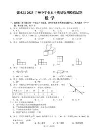 2023年四川省广安市邻水县九年级模拟考试数学试题