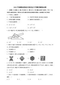 2022年湖南省娄底市娄星区中考数学模拟试卷(含答案)