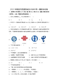 2023年湖南省衡阳市西渡镇咸水中学中考一模数学试卷(含答案)