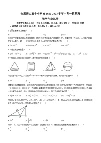 安徽省合肥市第五十中学东校2023年中考一模数学试卷(含答案)