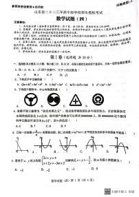 2023年山东济宁市梁山县寿张集镇初级中学九年级中考数学模拟题