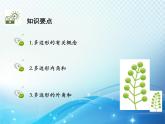 19.1 多边形内角和 沪科版八年级数学下册教学课件
