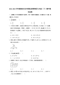 2022-2023学年湖南省长沙市雅礼教育集团九年级（下）期中数学试卷（含解析）