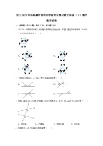 2022-2023学年新疆乌鲁木齐市新市区集团校七年级（下）期中数学试卷（含解析）