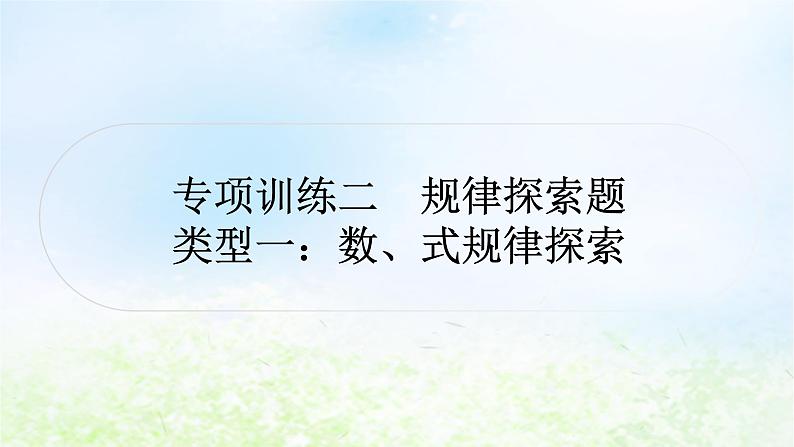 中考数学复习专项训练二规律探索题类型一数、式规律探索作业课件01