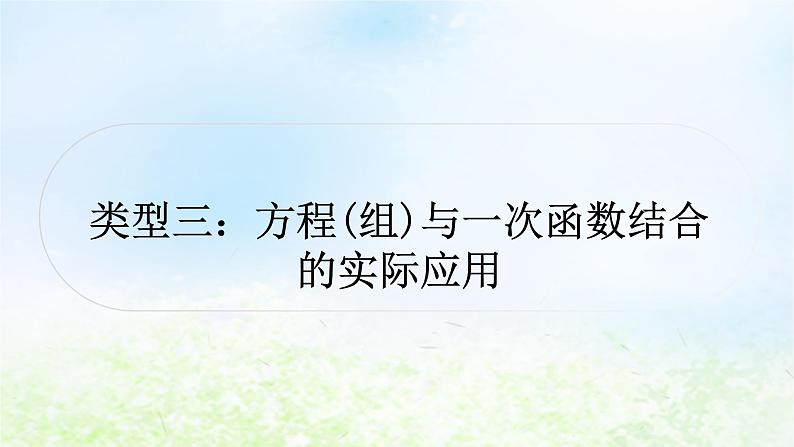 中考数学复习专项训练五方程、不等式、一次函数的实际应用类型三方程(组)与一次函数结合的实际应用作业课件第1页