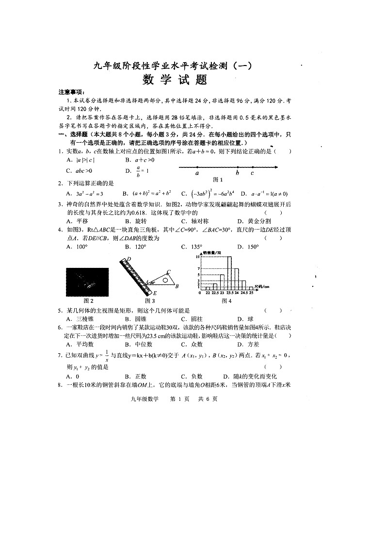 2023年山东省菏泽市牡丹区中考一模九年级数学试题01