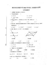 浙江省嵊州市谷来镇中学2022-2023学年七年级下学期期中测试数学试卷