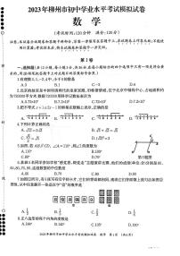 2023年柳州市初中学业水平考试九年级数学模拟试卷(含答案)