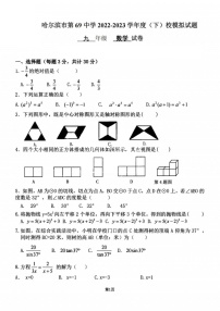 黑龙江省哈尔滨市69中学2022-2023学年度下学期校模拟试题九年级数学试卷（含答案）