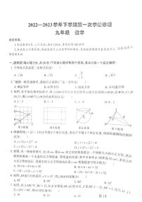 河南省洛阳市宜阳县2023届九年级下学期第一次学情诊断数学试卷(含答案)