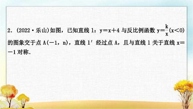 中考数学复习专项训练七反比例函数综合题作业课件第5页