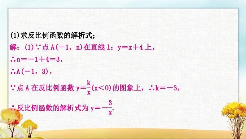 中考数学复习专项训练七反比例函数综合题作业课件第6页