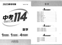 2023年中考数学114