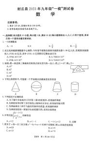 2023年河南省新乡市封丘县九年级中考一模数学试卷及答案