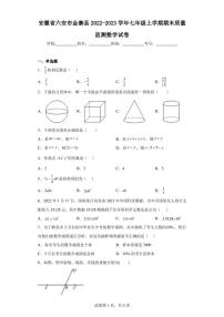 安徽省六安市金寨县2022-2023学年七年级上学期期末质量监测数学试卷