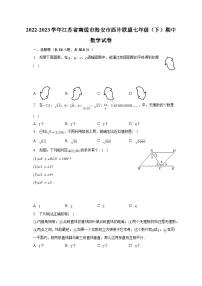 2022-2023学年江苏省南通市海安市西片联盟七年级（下）期中数学试卷（含解析）