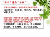 3.1.1一元一次方程3课件-人教版七年级数学上册