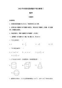 2023年安徽省合肥市名校联盟中考二模数学试卷