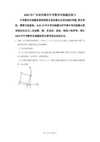 2023年河源市中考数学压轴题总复习题及答案解析