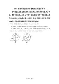 2023年娄底市中考数学压轴题总复习题及答案解析