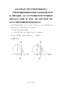 2023年十堰市中考数学压轴题总复习题及答案解析