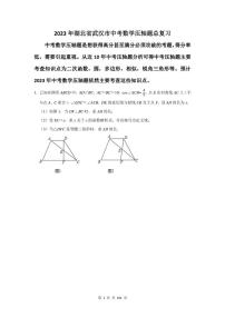 2023年武汉市中考数学压轴题总复习题及答案解析