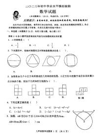 2023年山东省青岛市城阳区九年级中考一模数学试卷