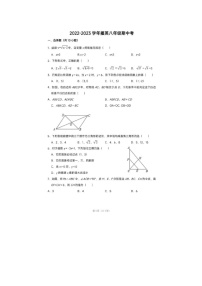 福建省莆田市擢英中学2022-2023学年八年级下学期期中数学试卷