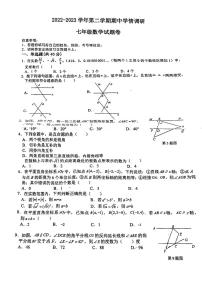 无为市2023年七年级下册期中数学试卷