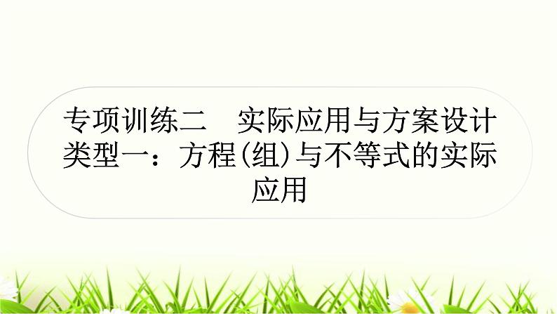 中考数学复习专项训练二类型一方程(组)与不等式的实际应用作业课件01