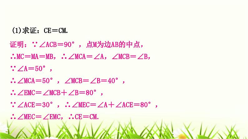 中考数学复习专项训练五类型一三角形中的证明与计算作业课件第3页