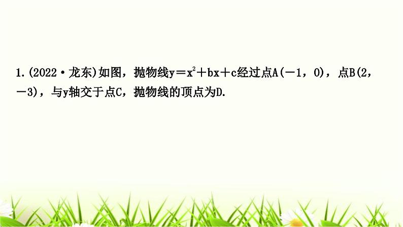 中考数学复习类型二二次函数与图形面积问题作业课件第2页