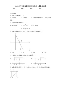 2023年广东省揭阳市普宁市中考一模数学试题