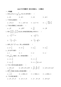 2023年中考数学二轮专项练习：二次根式(含答案)