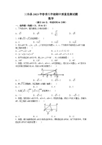 四川省绵阳市三台县2022-2023学年八年级下学期期中数学试题