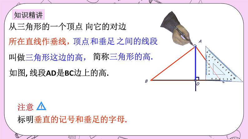 浙教版数学八上 1.1.3 三角形的角平分线、中线、高线 课件第4页