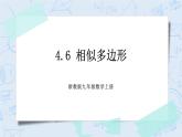 浙教版数学九上 4.6 相似多边形 课件+教案+学案