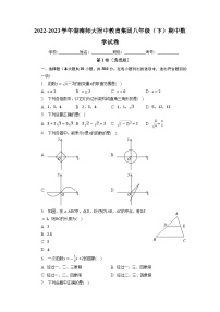 湖南师大附中教育集团2022-2023学年八年级下学期期中数学试卷+