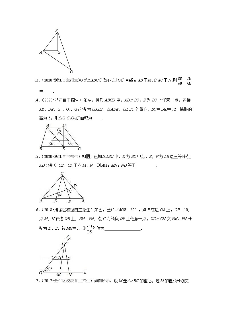 专题16 三角形一边平行线定理-全国初三数学自主招生专题大揭秘（含答案详解）第3页