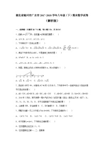 湖北省随州市广水市2017-2018学年八年级（下）期末数学试卷（解析版）