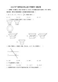 2022年广西河池市凤山县中考数学二模试卷（含答案）